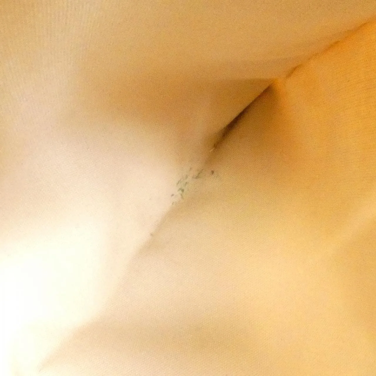 LOUIS VUITTON M95316 Handbag Monogram Black Monogram Rank B - Thumbnail 9