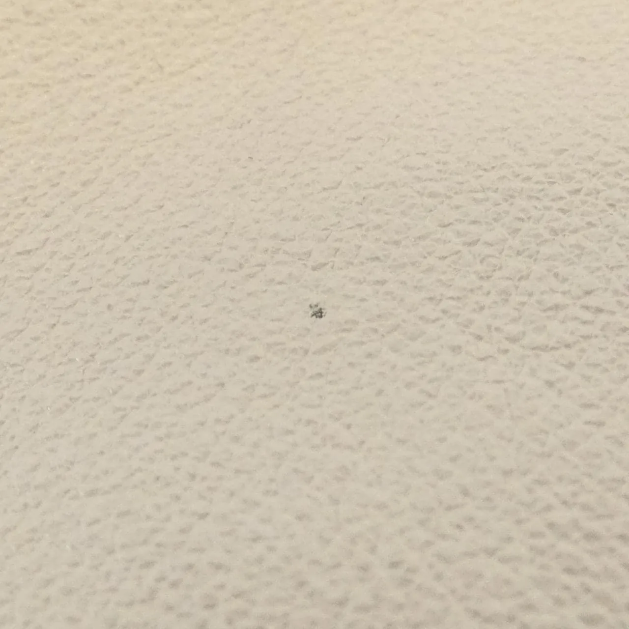 LOEWE Flamenco A411FC1X62 Handbag Black Rank B - Thumbnail 4