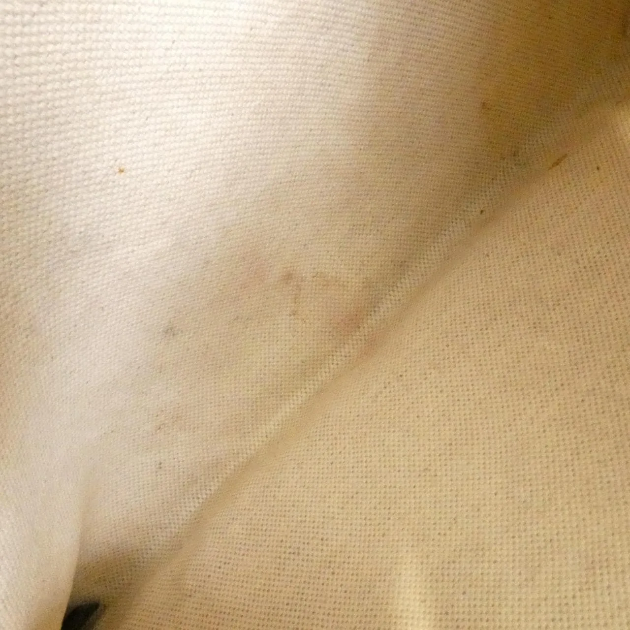 GUCCI Horsebit 1955 623694 GY5OG Handbag Canvas Black Canvas Rank B - Thumbnail 9