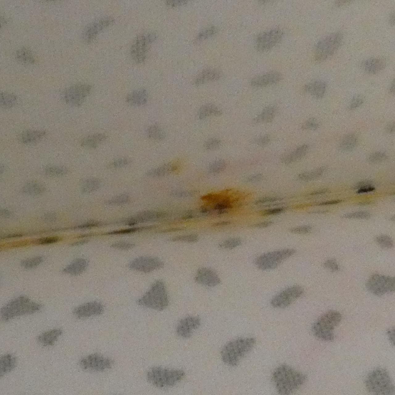 LOUIS VUITTON Neverfull M40684 Tote Monogram Black Monogram Rank B - Thumbnail 10