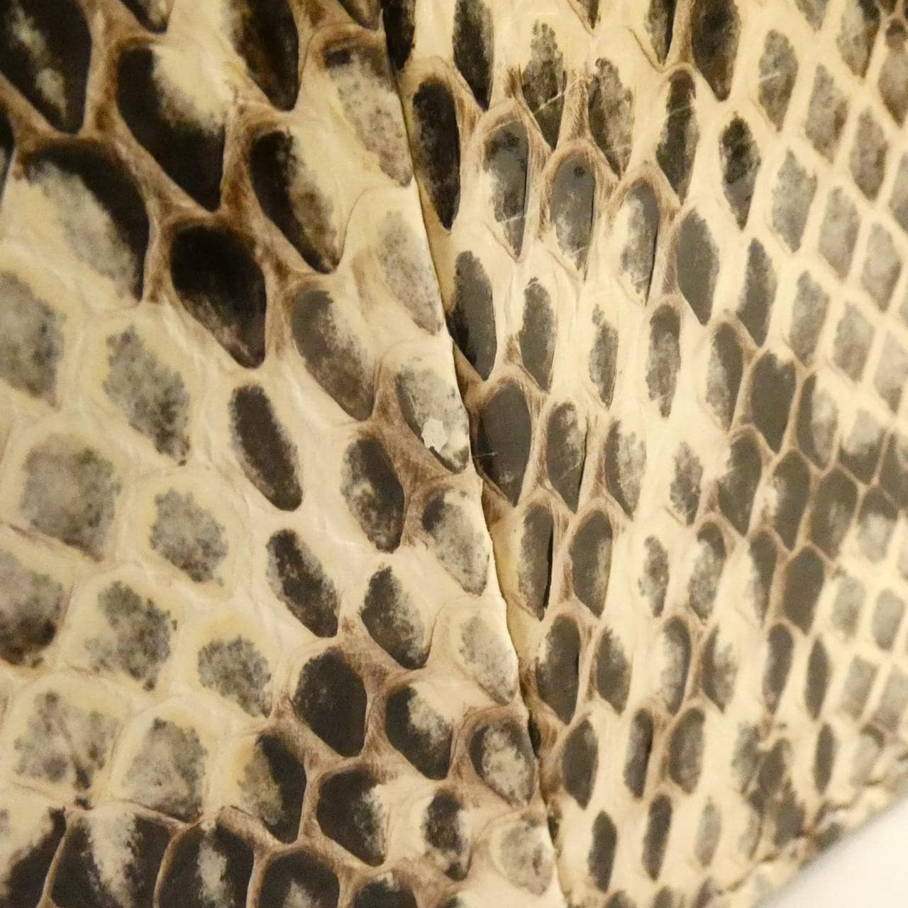 GUCCI 476541 Bag Python Beige Python - Thumbnail 6