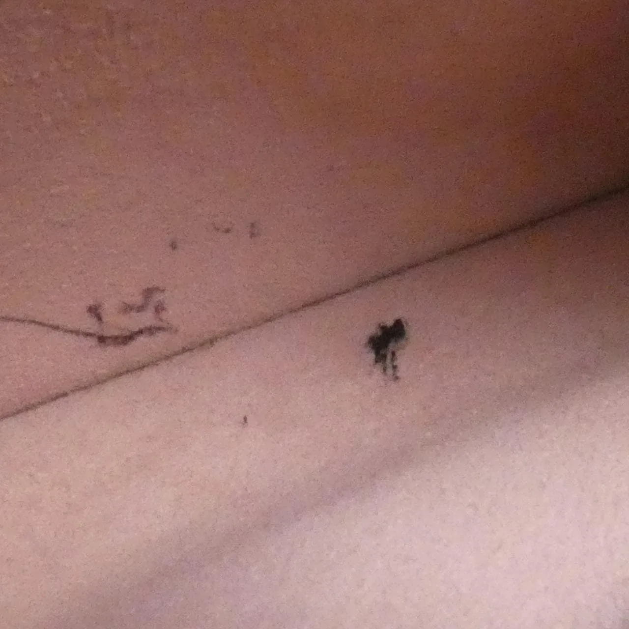 LOUIS VUITTON N41674 Handbag Damier Ebene Damier Rank B - Thumbnail 10