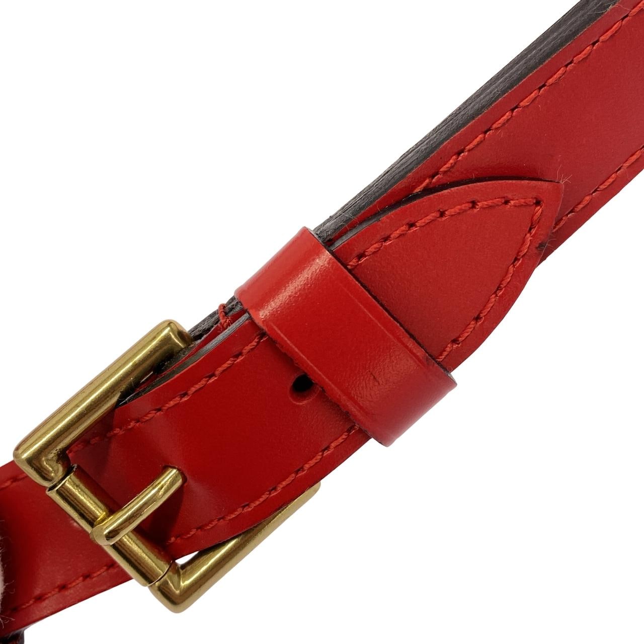 LOUIS VUITTON M44107 Shoulder Bag Epi 紅色 Epi 中古品A - 縮圖 6