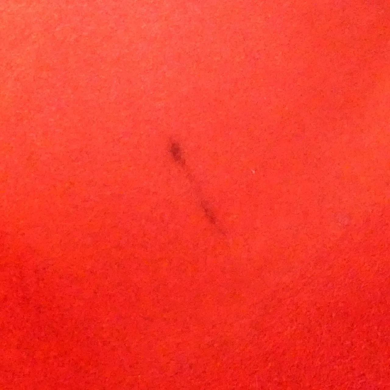 LOUIS VUITTON N51204 Handbag Damier 黑色 Damier 中古品A - 縮圖 10