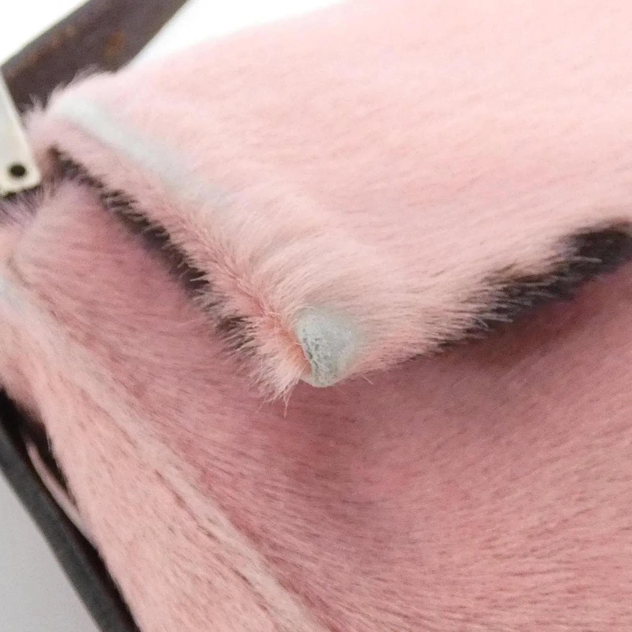 FENDI Baguette 26424 Shoulder Leather Brown Leather Rank B - Thumbnail 5