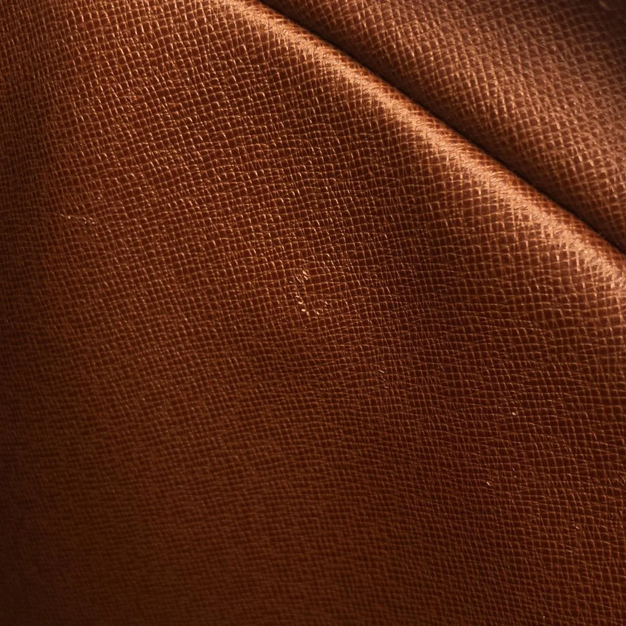 LOUIS VUITTON Nile M45244 Shoulder Monogram Black Monogram Rank A - Thumbnail 8