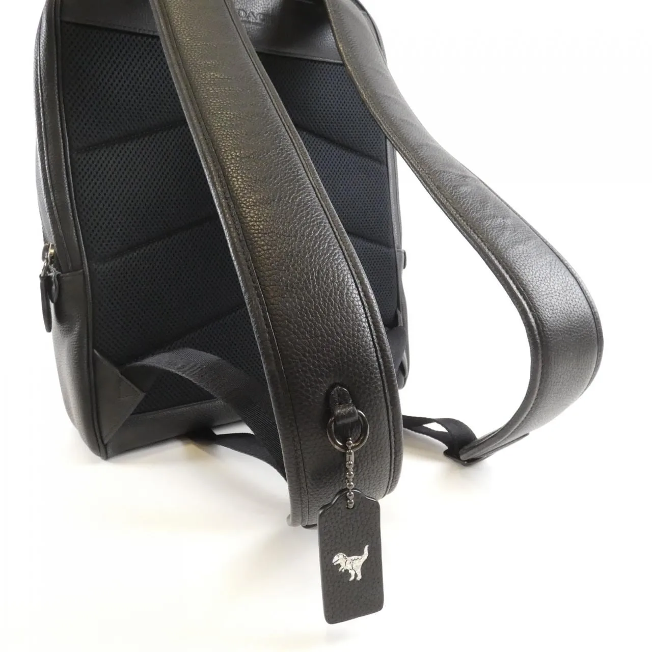 COACH CP161 Backpack Leather