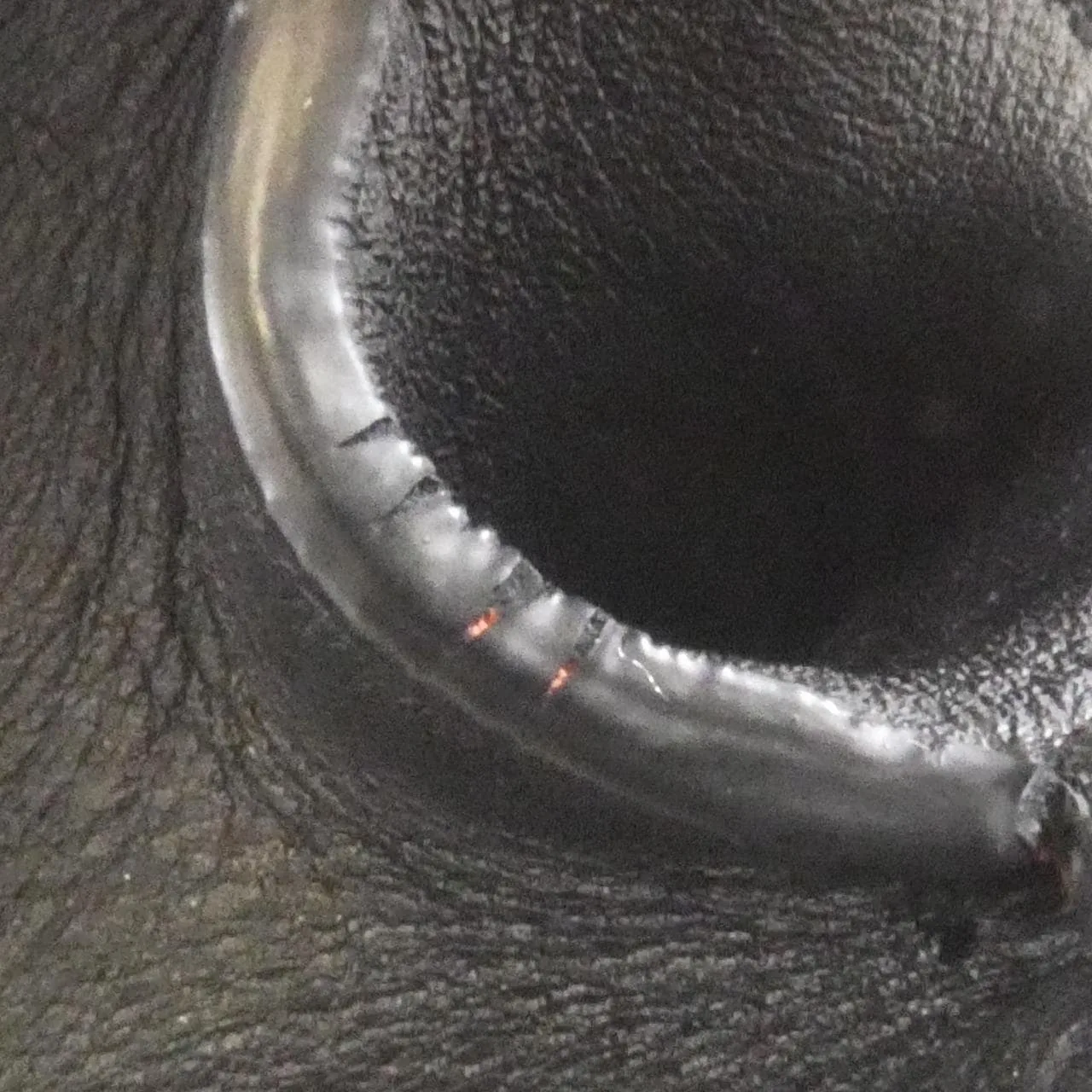 CELINE 181053A1I Shoulder Black Rank A - Thumbnail 4