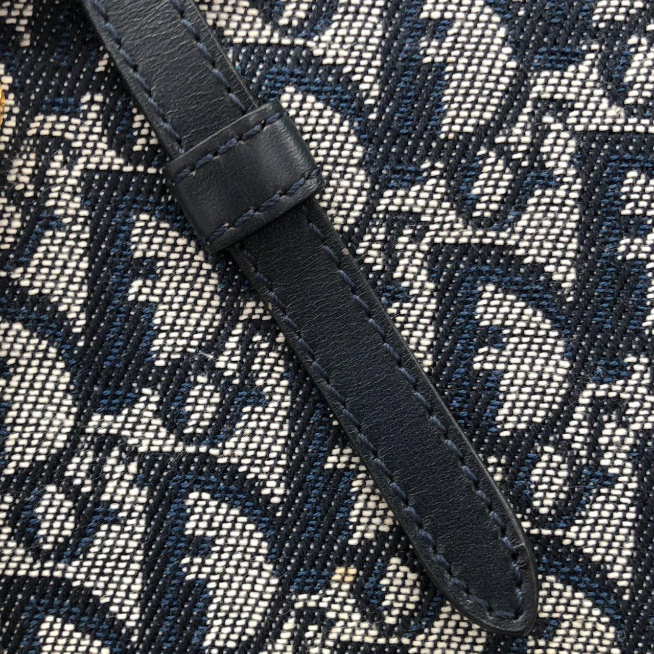 DIOR Handbag Canvas 藍色 帆布 中古品A - 縮圖 6