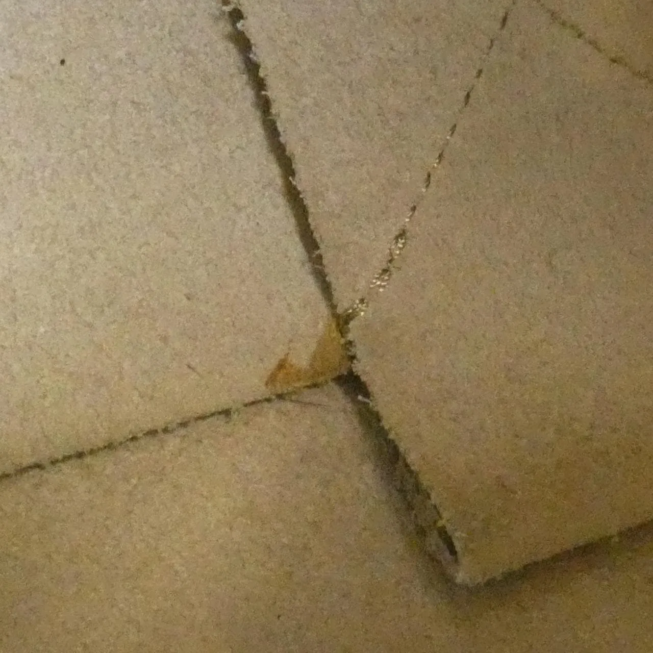 CELINE Cabas 176163XBB Handbag White Rank B - Thumbnail 9