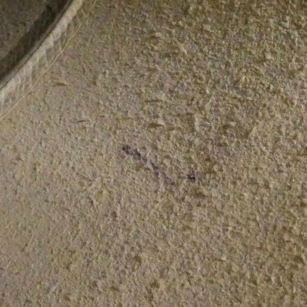 CELINE Cabas 176163XBB Handbag White Rank B - Thumbnail 10