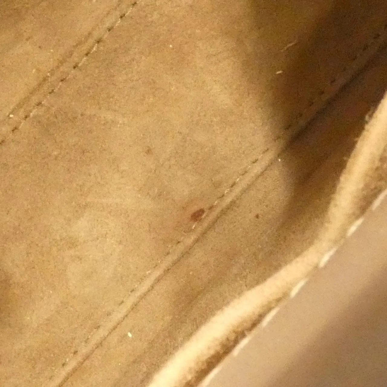 DIOR Lady Dior M0538OCEA Handbag Lambskin 黑色 羊皮 中古品B - 縮圖 10