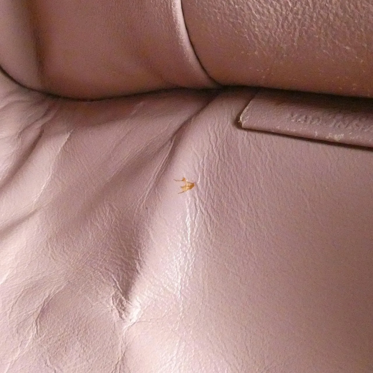 LOEWE Amazona 352 79 A22 Handbag Black - Thumbnail 10