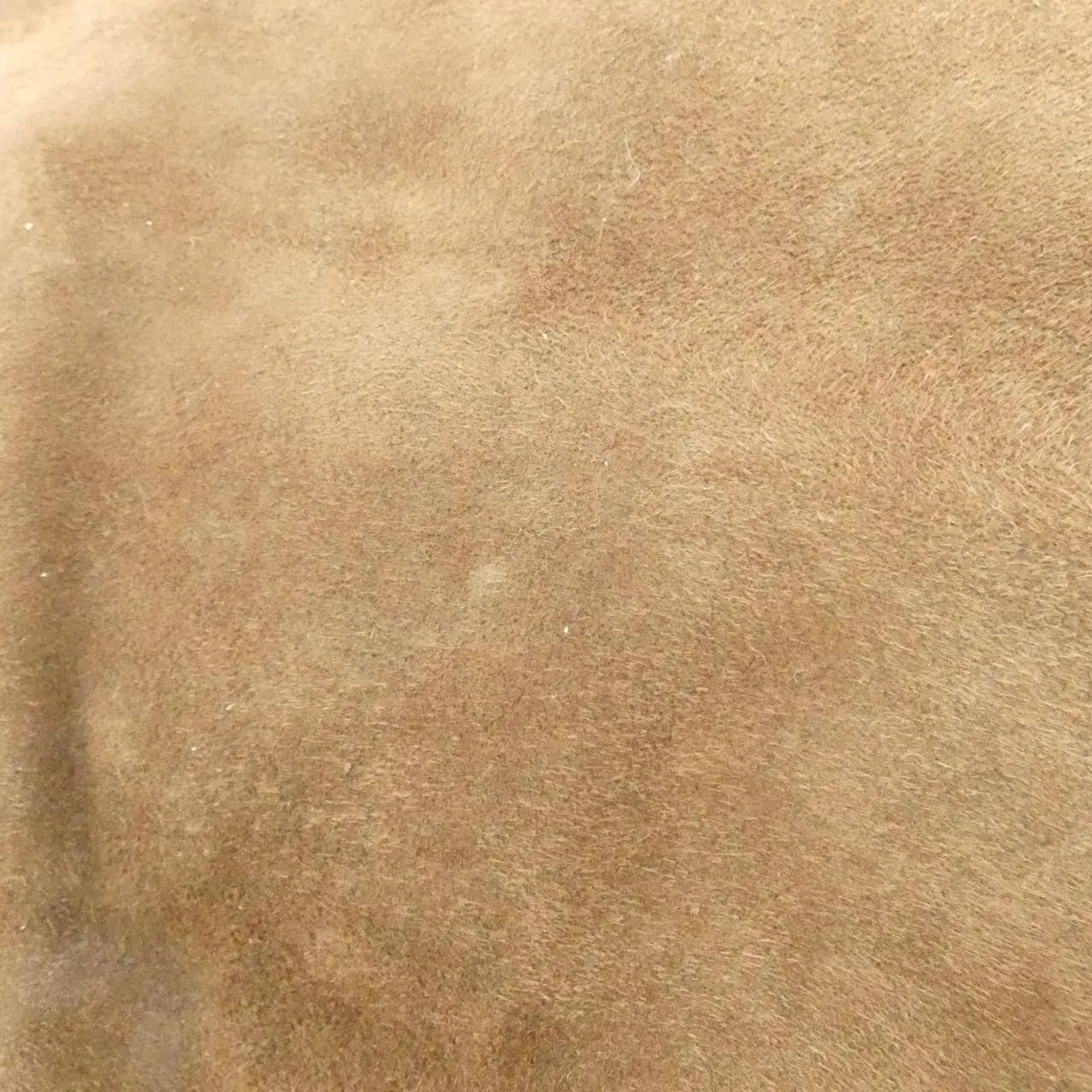 MIU MIU 5BG303 Shoulder Black Rank A - Thumbnail 6