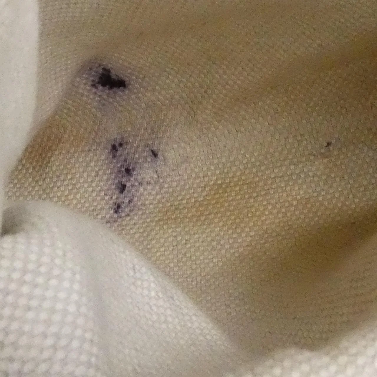 GUCCI 536196 A7M0G Shoulder Leather 黑色 皮革 中古品B - 縮圖 10