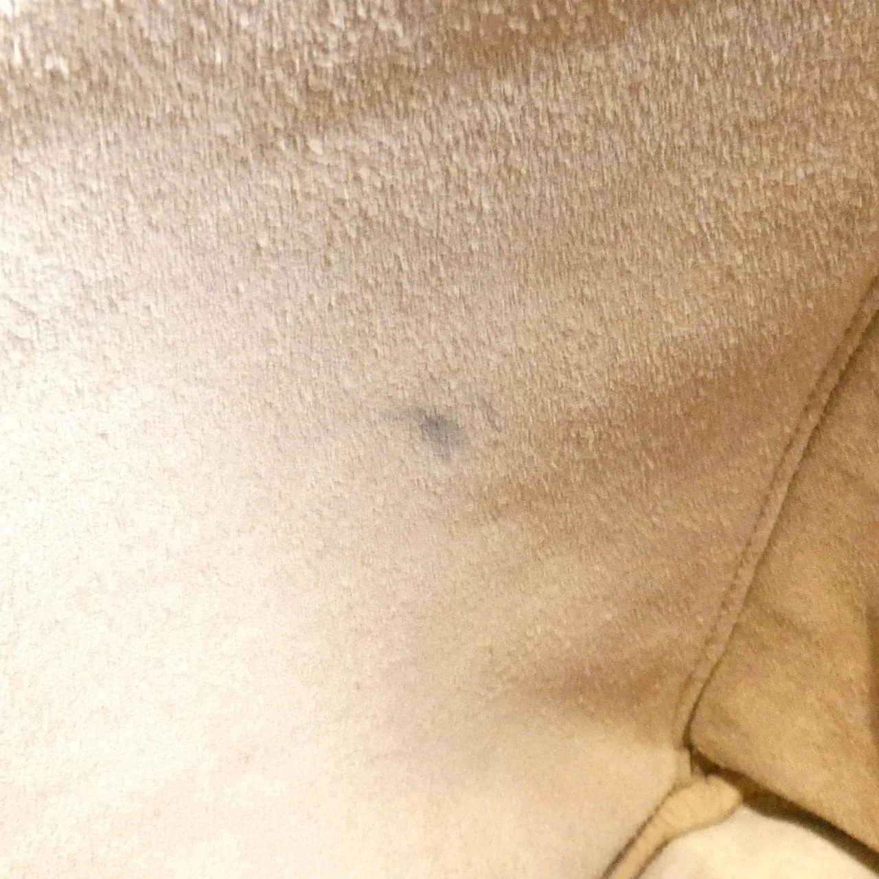 PRADA 1BA274 Handbag 黑色 中古品A - 縮圖 8