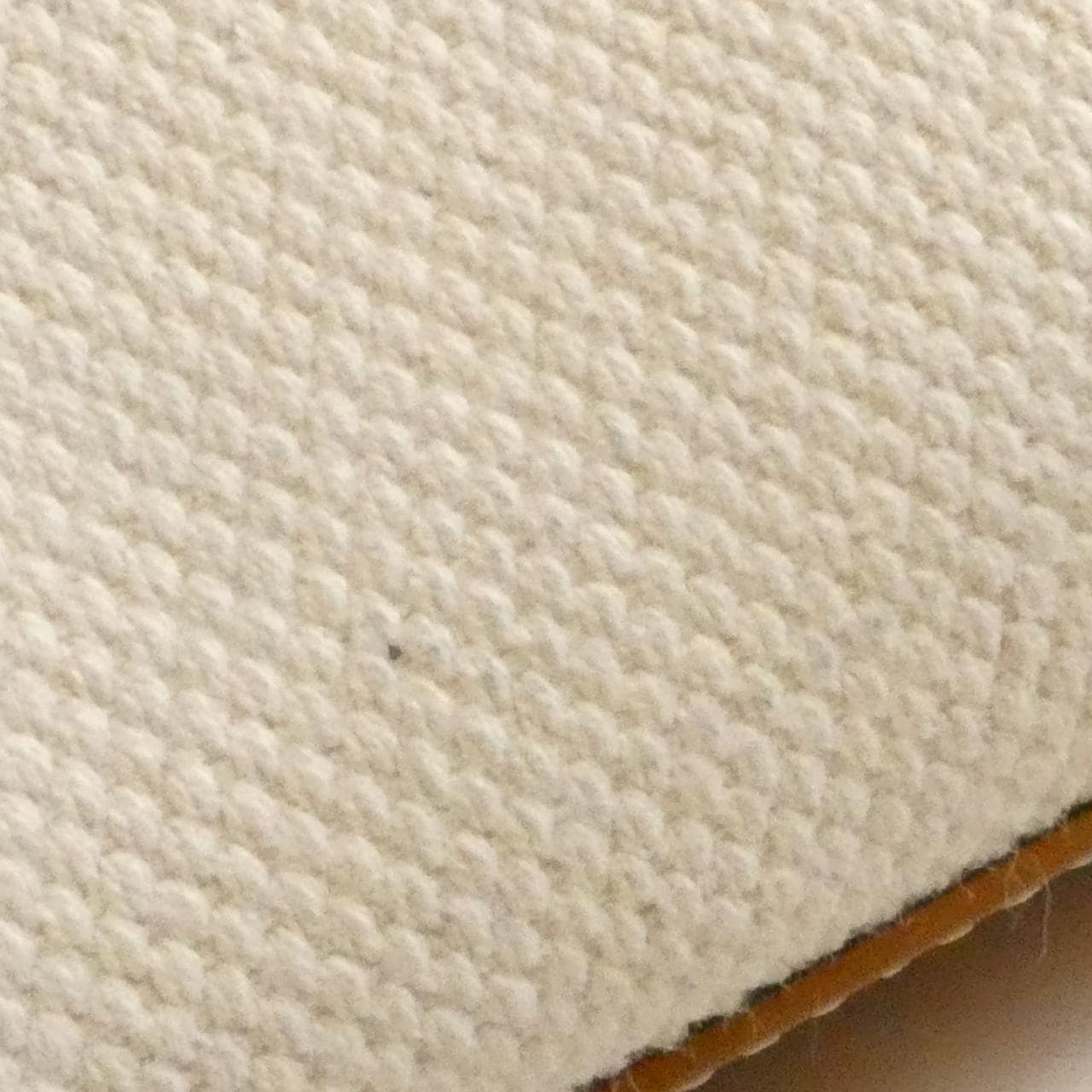 CELINE Cabas 193302BNZ Handbag Canvas 4