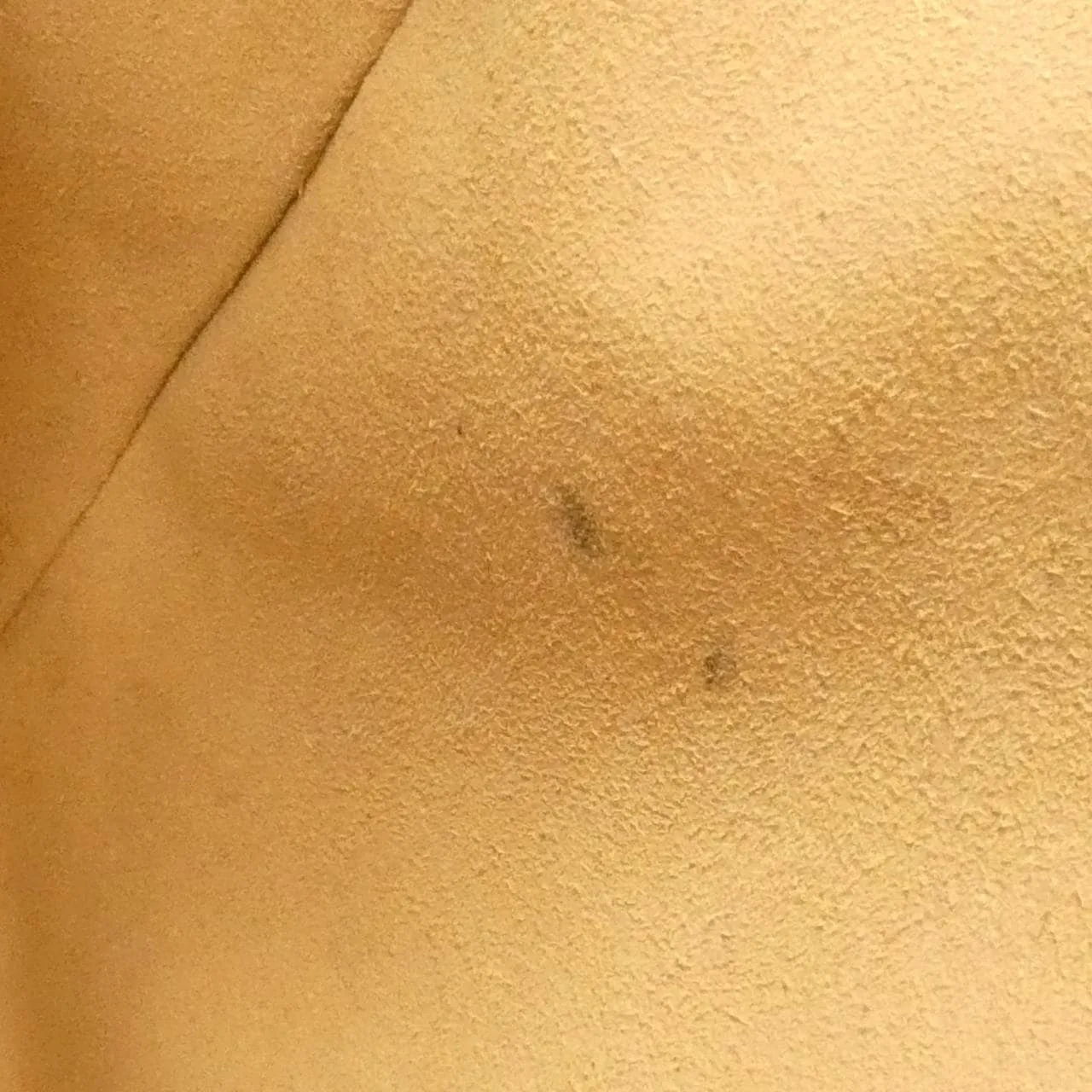 GUCCI 473887 9IKIG Handbag Canvas 黑色 帆布 中古品B - 縮圖 8