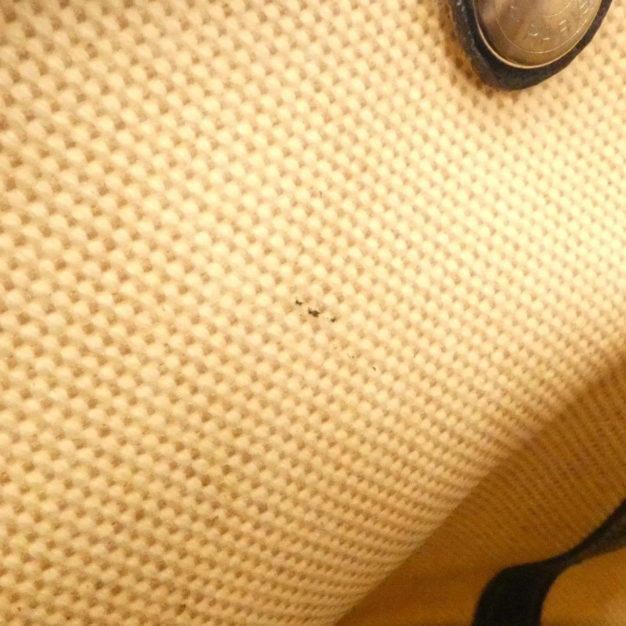 HERMES Garden Party 041458CK Tote Brown Rank B - Thumbnail 10