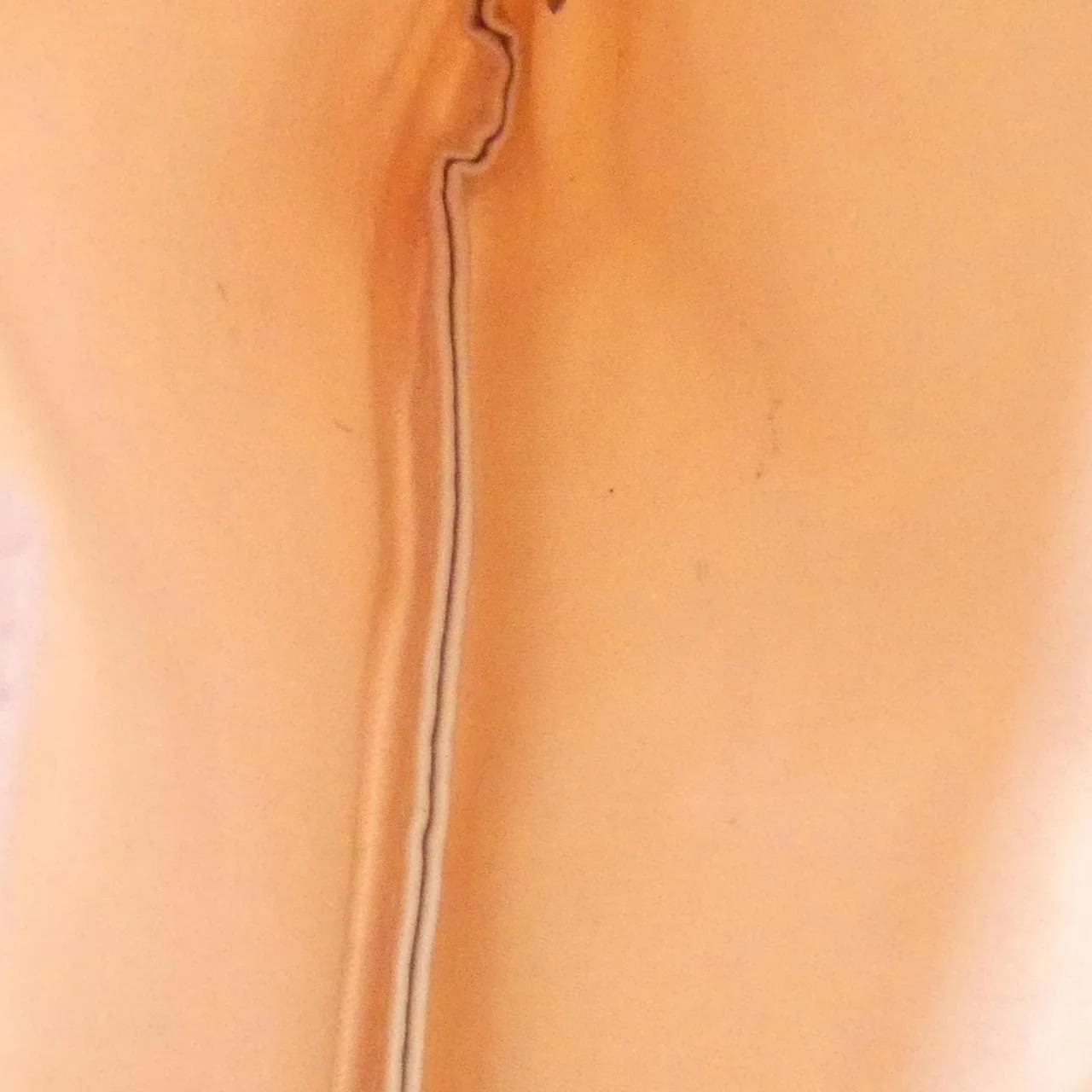 CHANEL 20532 Pouch Nylon Pink Nylon Rank A - Thumbnail 9