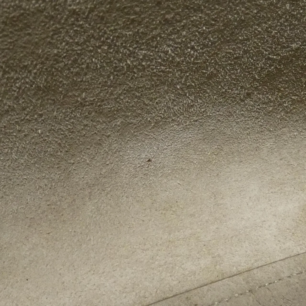 CELINE Cabas 176103ZVA Handbag Black Rank A - Thumbnail 9