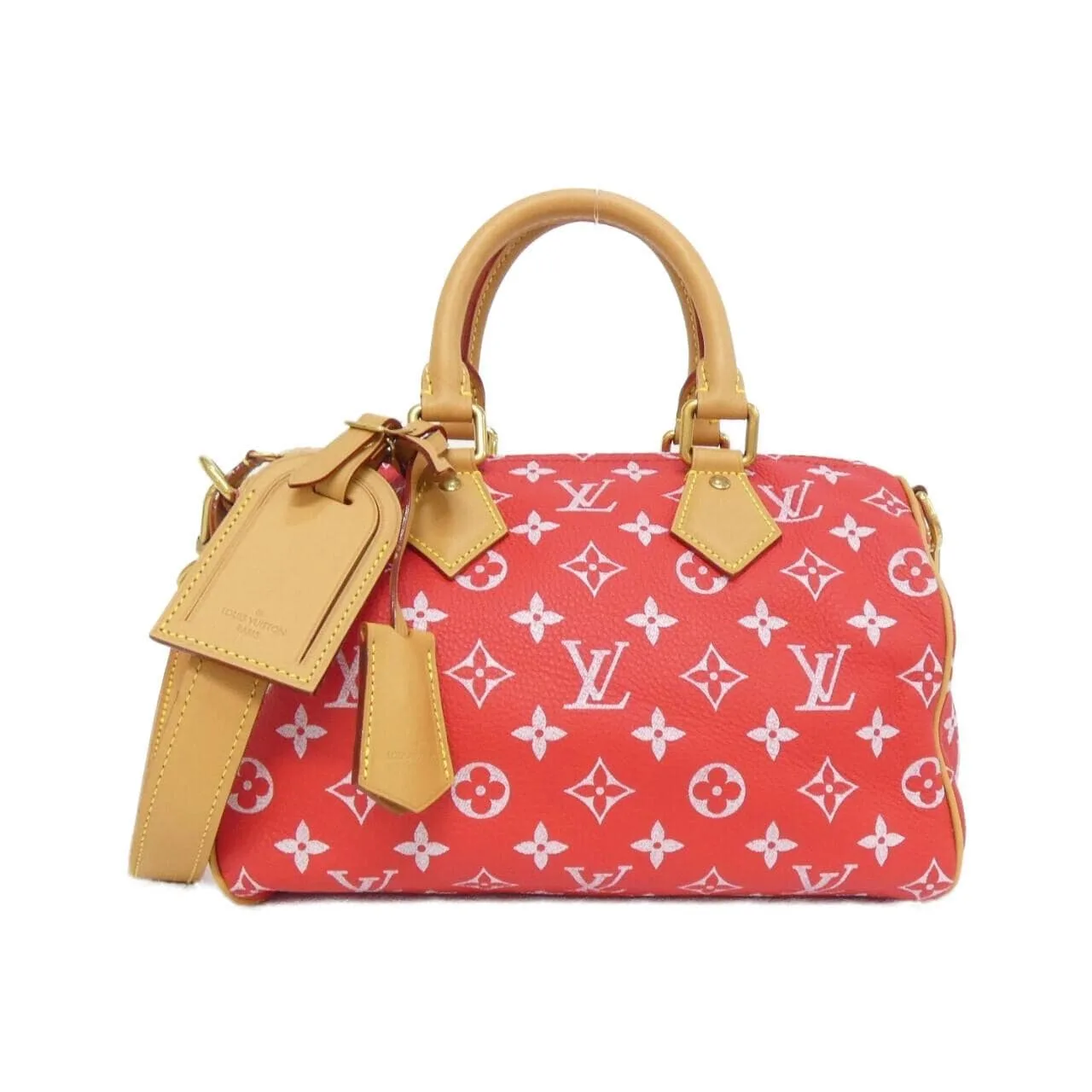 LOUIS VUITTON Speedy M24425 Boston Monogram