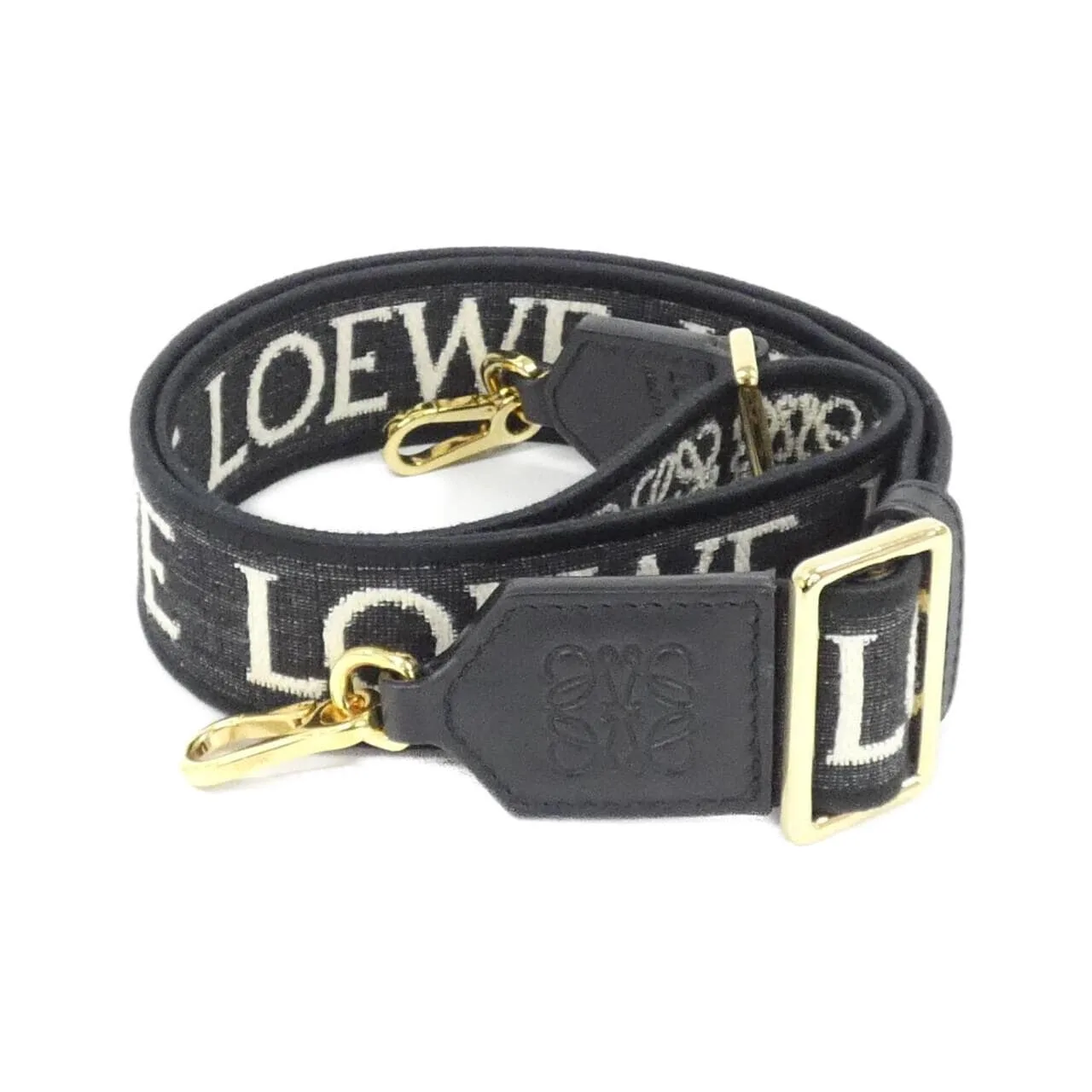 LOEWE C073T87X01 Wallet Canvas