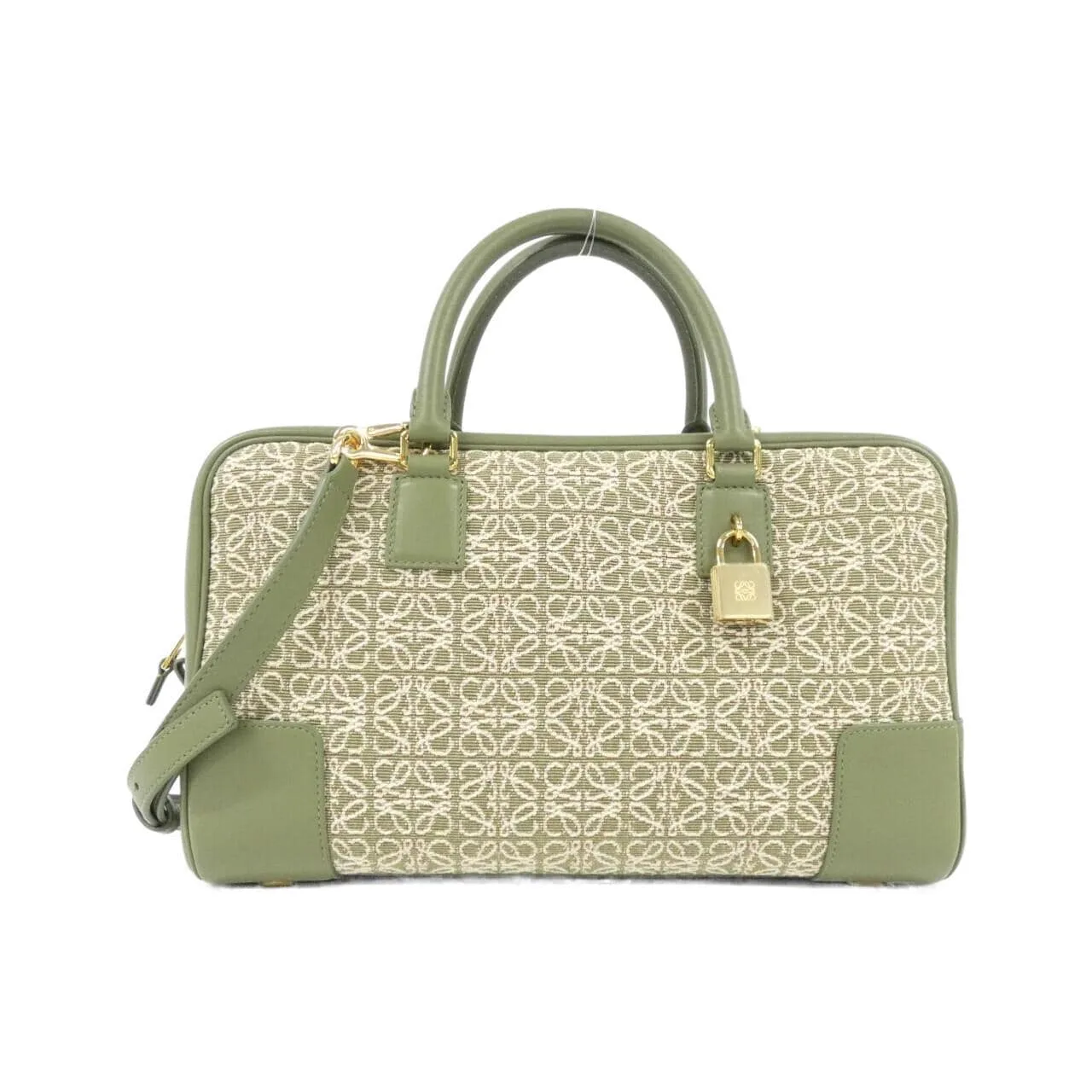 LOEWE Amazona A039N08X02 Handbag Canvas Black