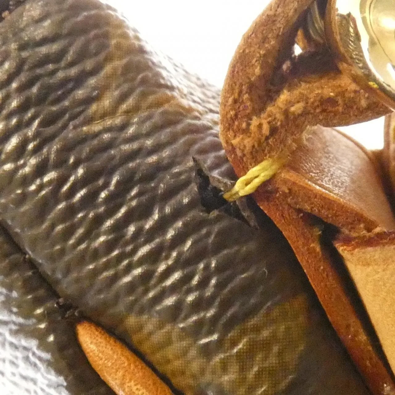 LOUIS VUITTON M40075 Shoulder Monogram Black Monogram Rank B - Thumbnail 7