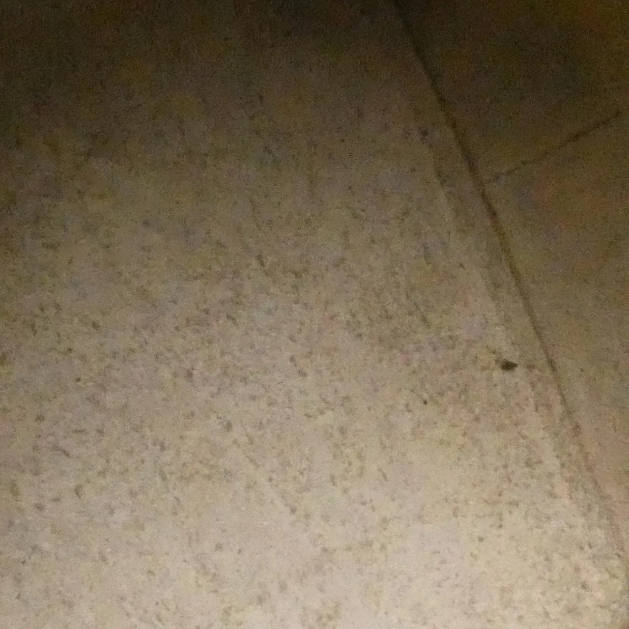 CELINE Cabas 191963CRE Handbag Leather Beige Leather Rank B - Thumbnail 10