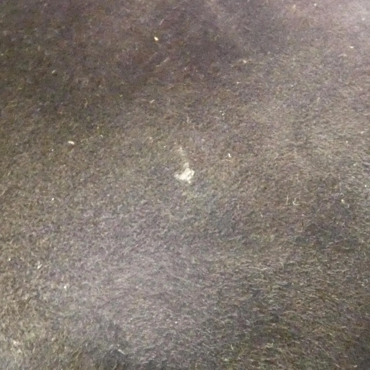 DIOR Lady Dior M0565ONGE Handbag Lambskin 黑色 羊皮 中古品B - 縮圖 9