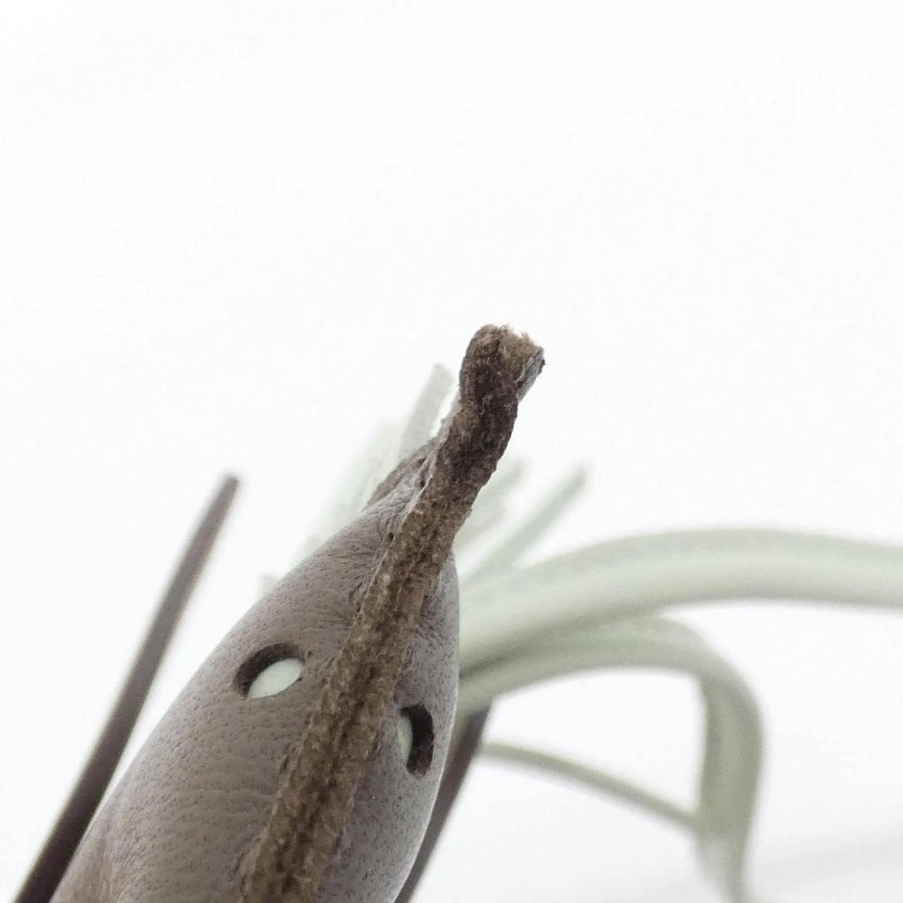 HERMES 083010CA Wallet Etoupe Rank A - Thumbnail 3