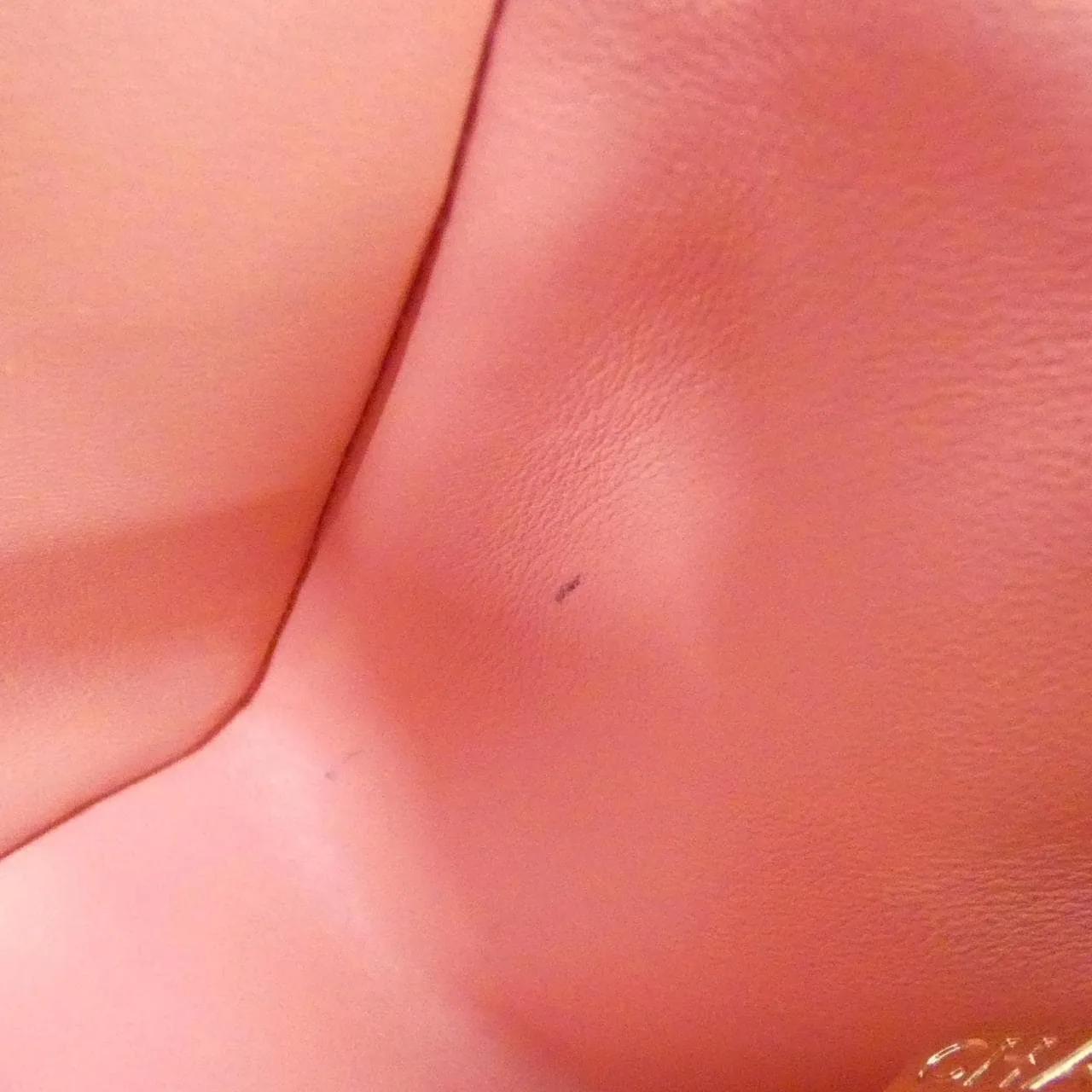 CHANEL Vanity AS2431 Handbag Lambskin 粉色 羊皮 中古品B - 縮圖 9