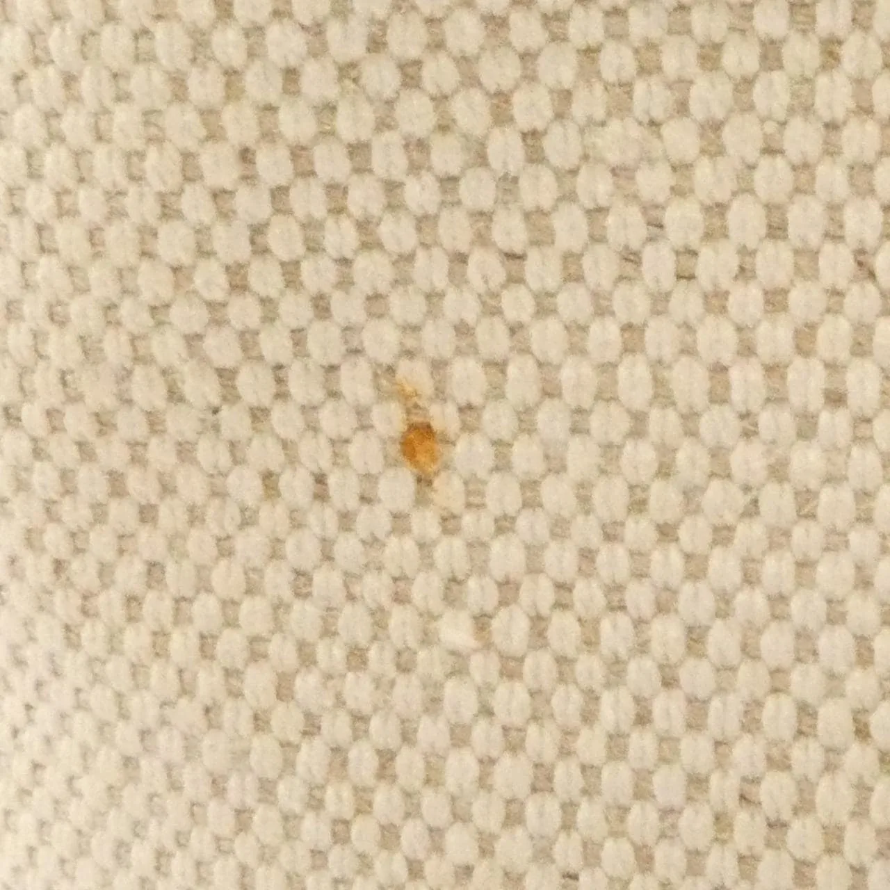 BALENCIAGA 409010 AQ38N Backpack Canvas 深藍色 帆布 中古品B - 縮圖 7