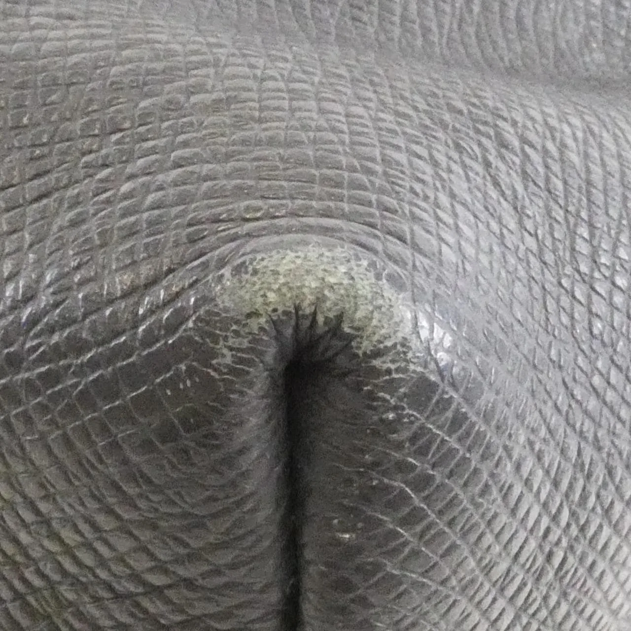 LOUIS VUITTON Discovery M33451 Backpack 藍色 中古品B - 縮圖 5