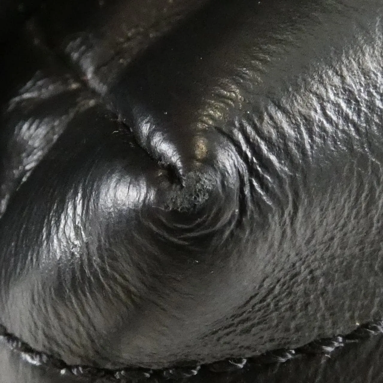 COACH CR757 背包 皮革 黑色 皮革 中古品A - 縮圖 4