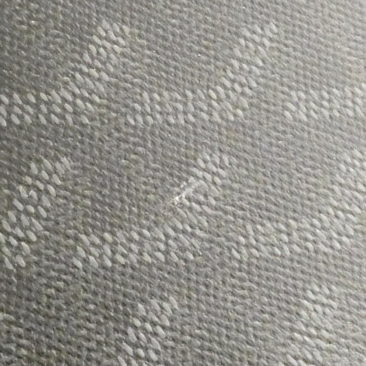 GOYARD 手提包 帆布 3