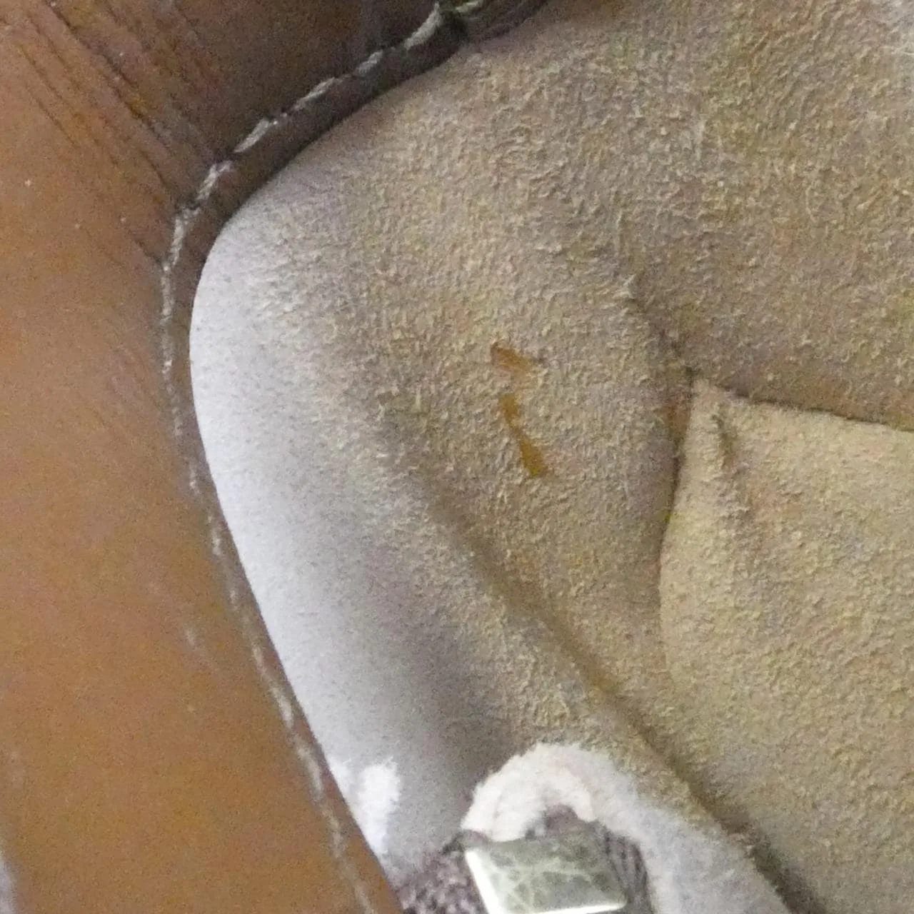 GUCCI Horsebit 1955 602204 92TCG 肩背包 帆布 黑色 帆布 中古品A - 縮圖 10