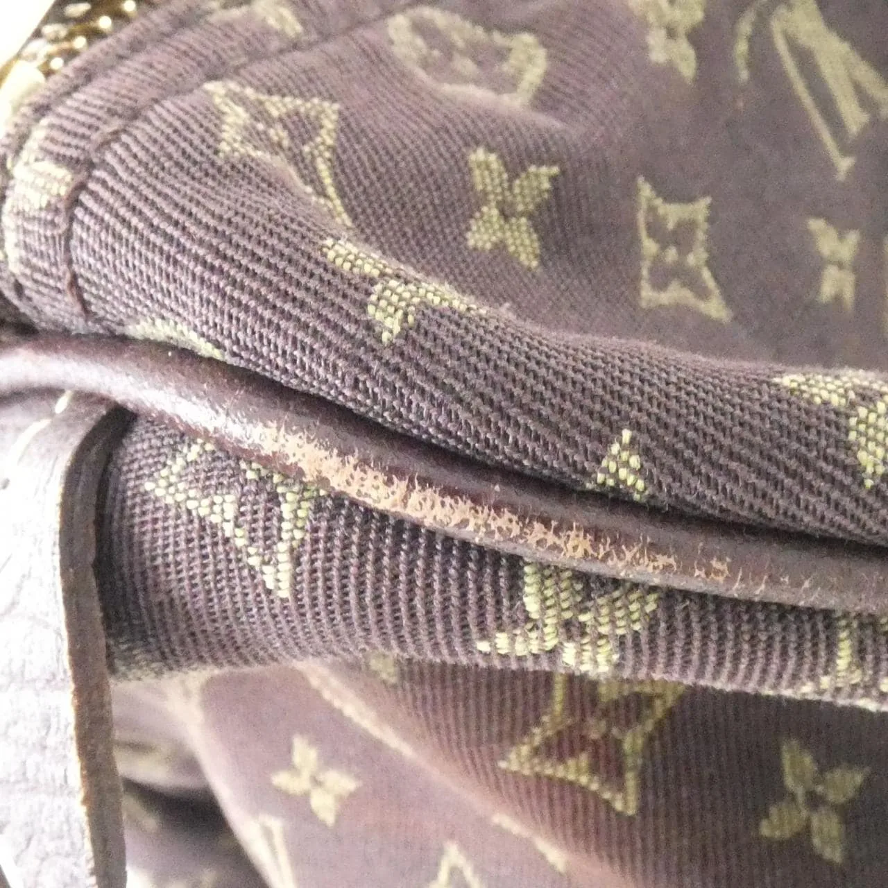 LOUIS VUITTON Speedy M95224 Boston Monogram