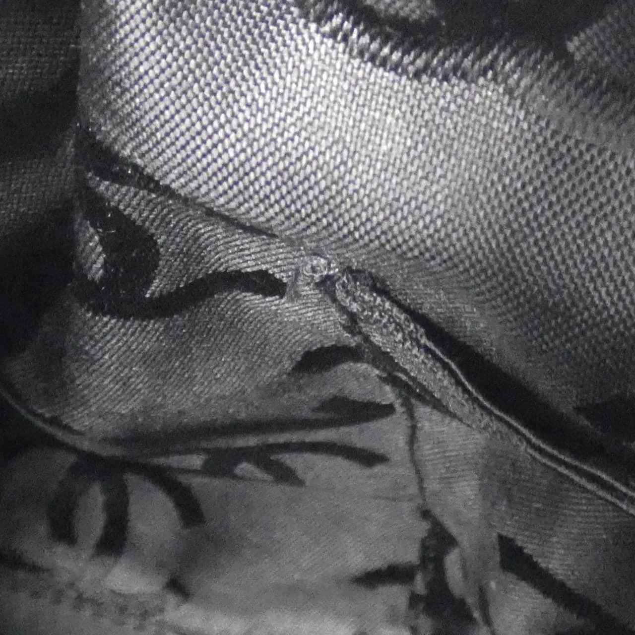 CHANEL 25659 Shoulder Grained Calfskin 黑色 荔枝紋牛皮 中古品A - 縮圖 9