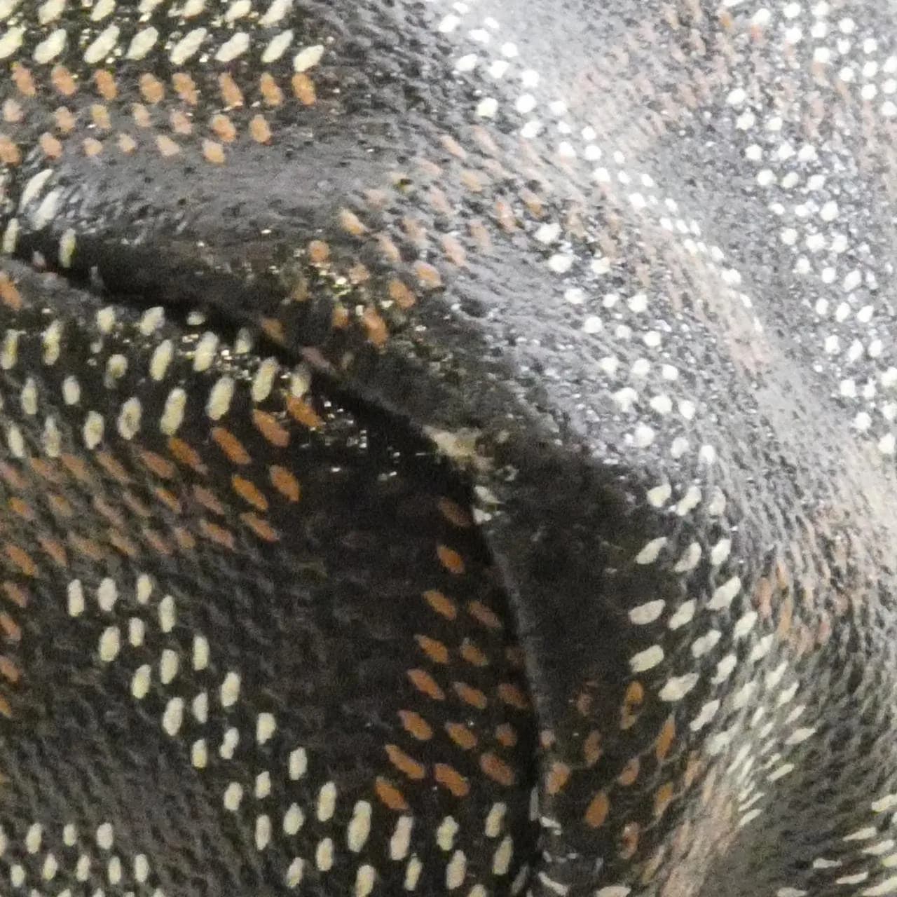 GOYARD Saint Louis AMA LOUIS PM Tote Canvas 3
