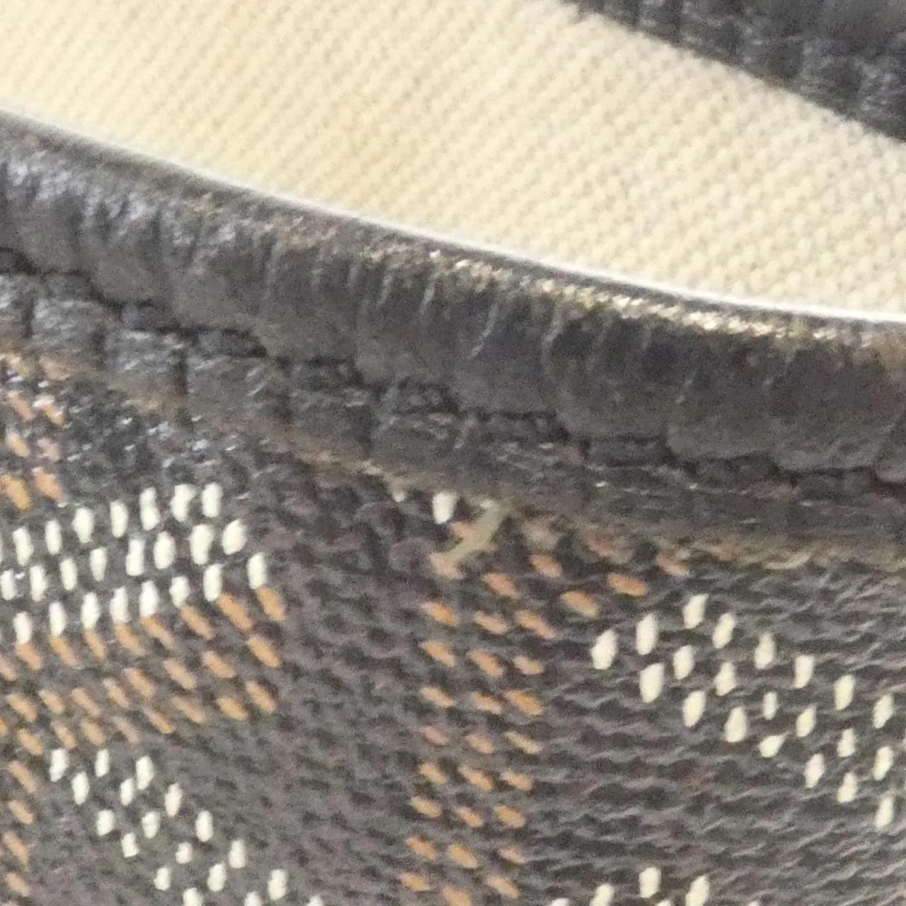 GOYARD Saint Louis AMA LOUIS PM Tote Canvas 4
