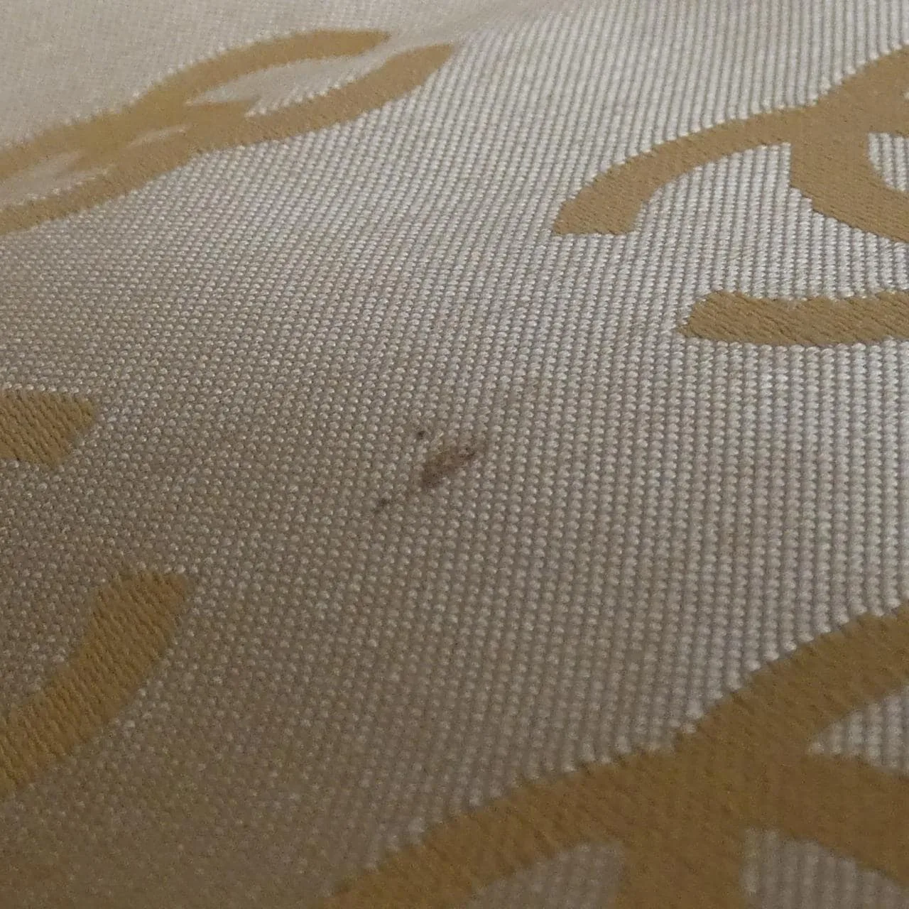 CHANEL 25666 Shoulder Grained Calfskin 米色 荔枝紋牛皮 中古品B - 縮圖 10