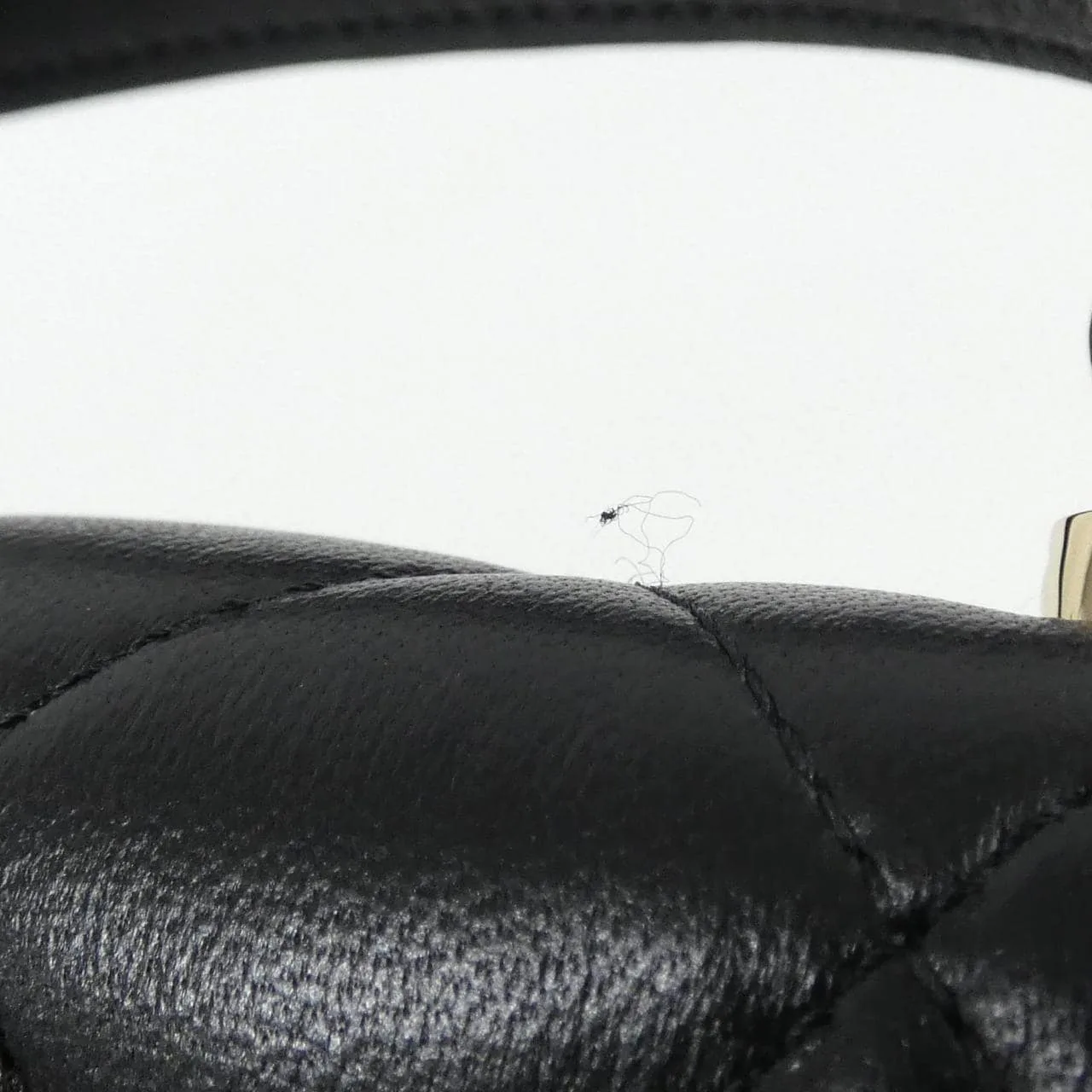 CHANEL Chanel 19 AP3226 Wallet Lambskin