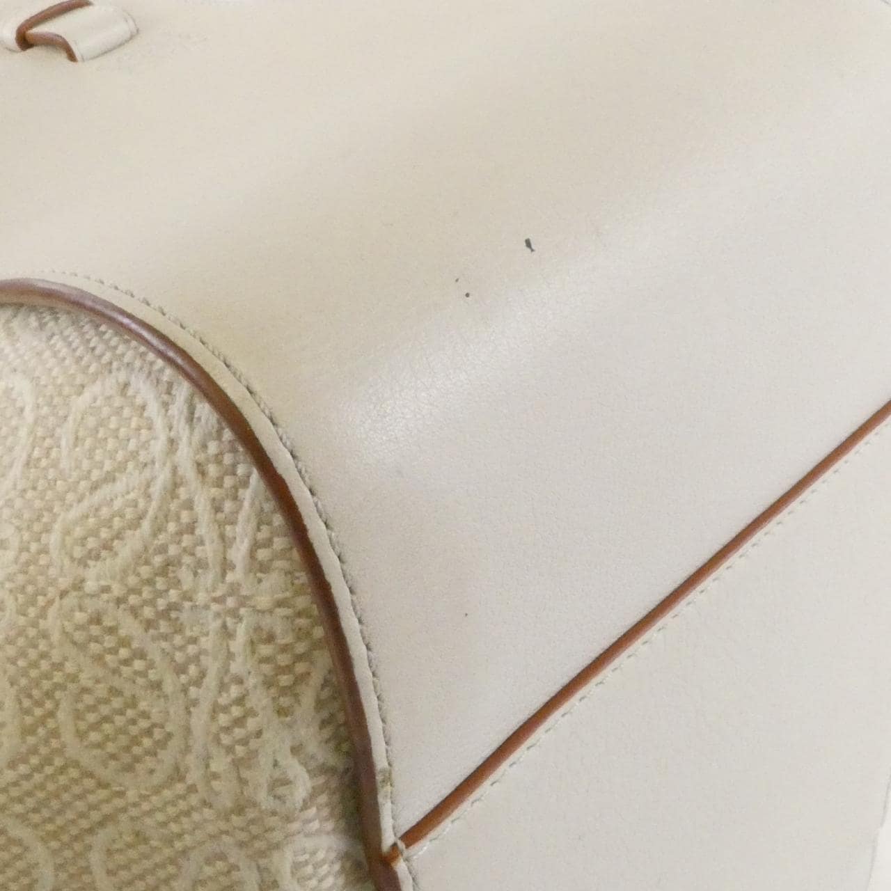 LOEWE Hammock A538S35X29 肩背包 帆布 3