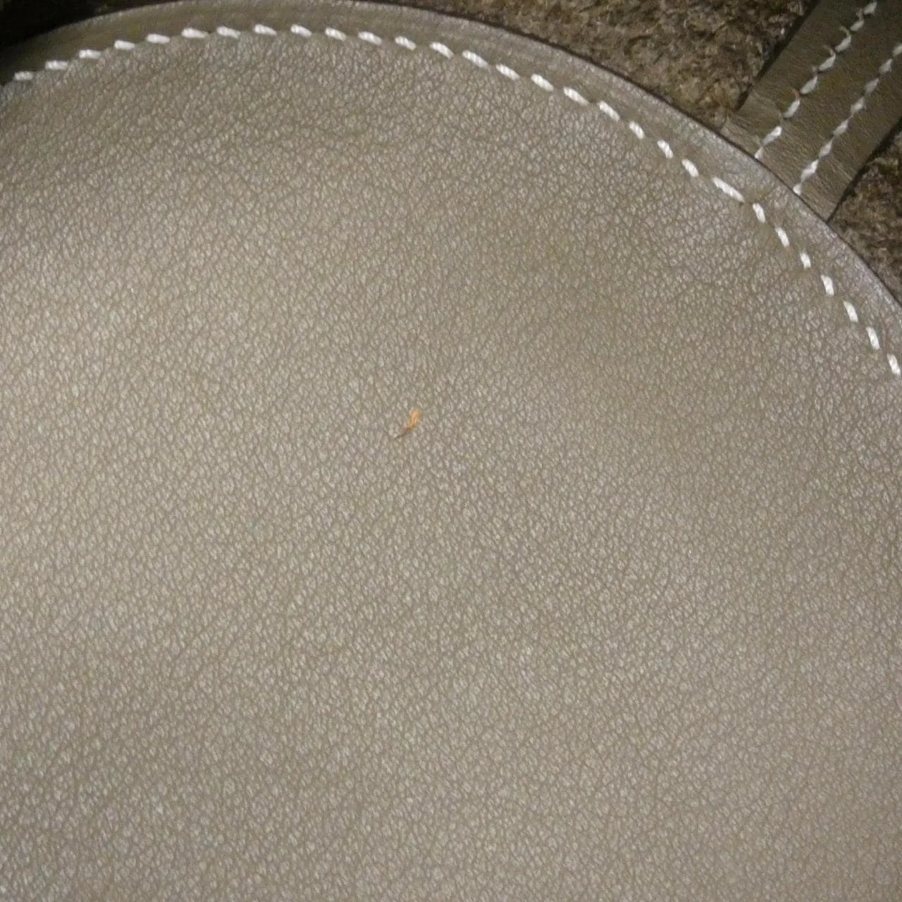 HERMES 084274CC Handbag Clemence Etoupe Clemence Leather Rank A - Thumbnail 7