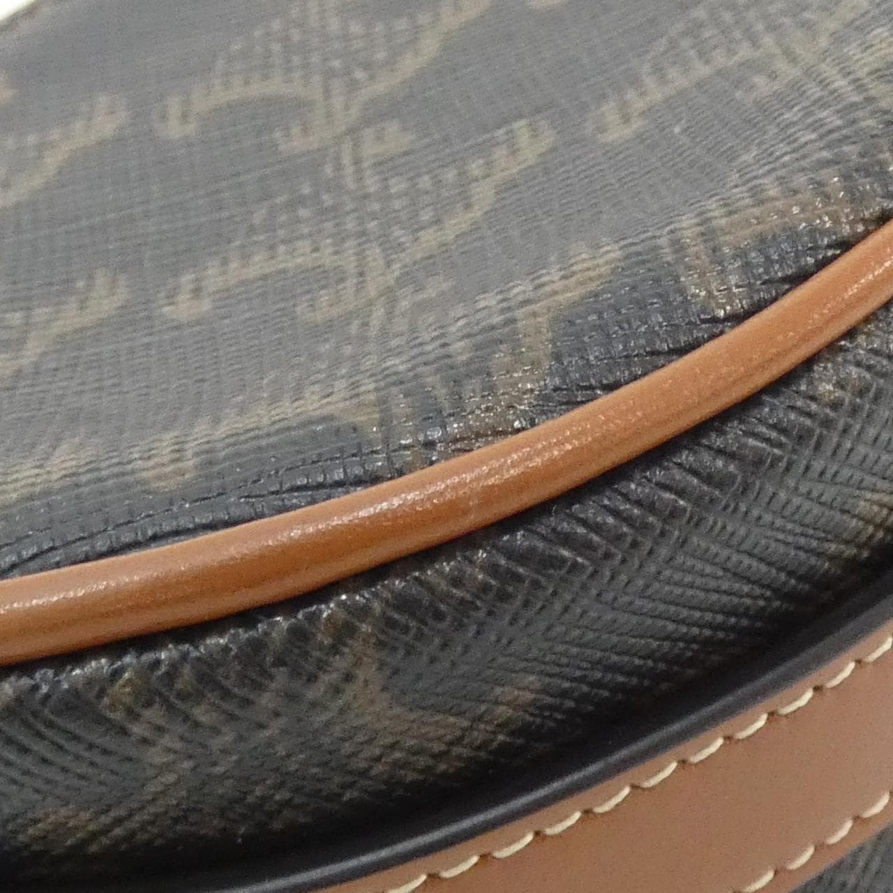 CELINE 10I602DS1 Handbag Canvas 2