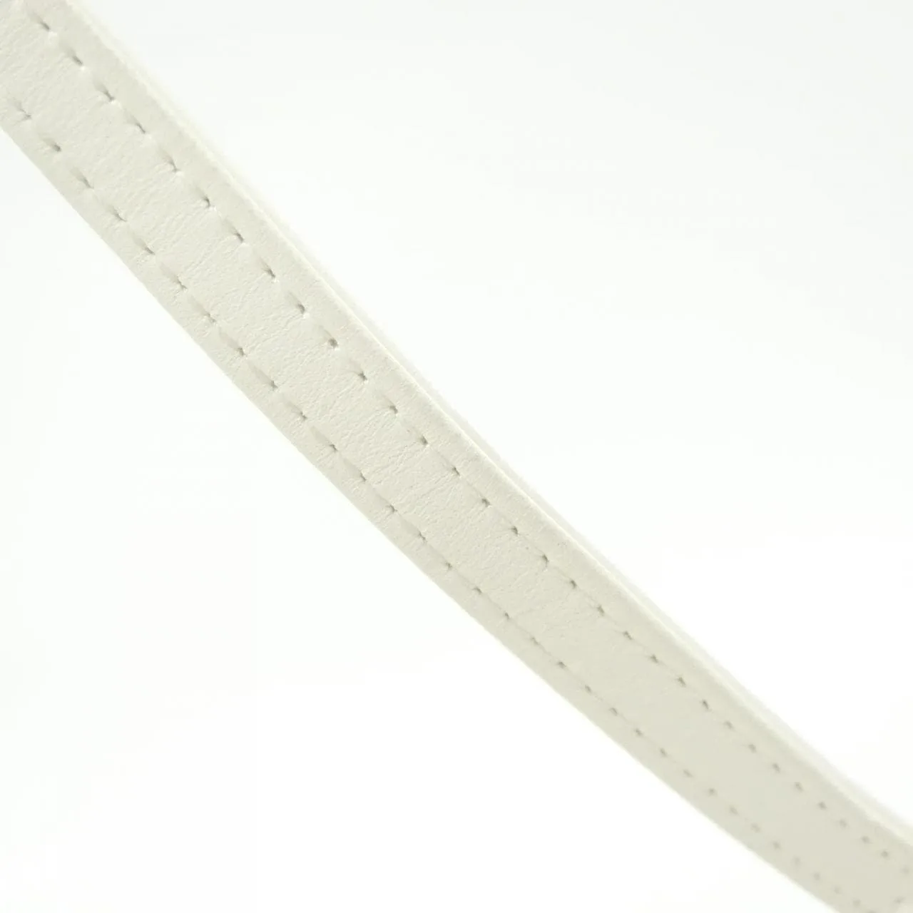 CHANEL AS2877 肩背包 羊皮