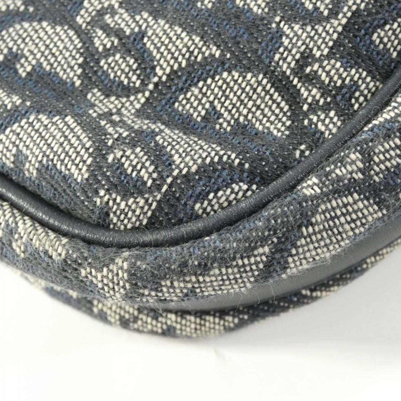 DIOR Shoulder Canvas 3