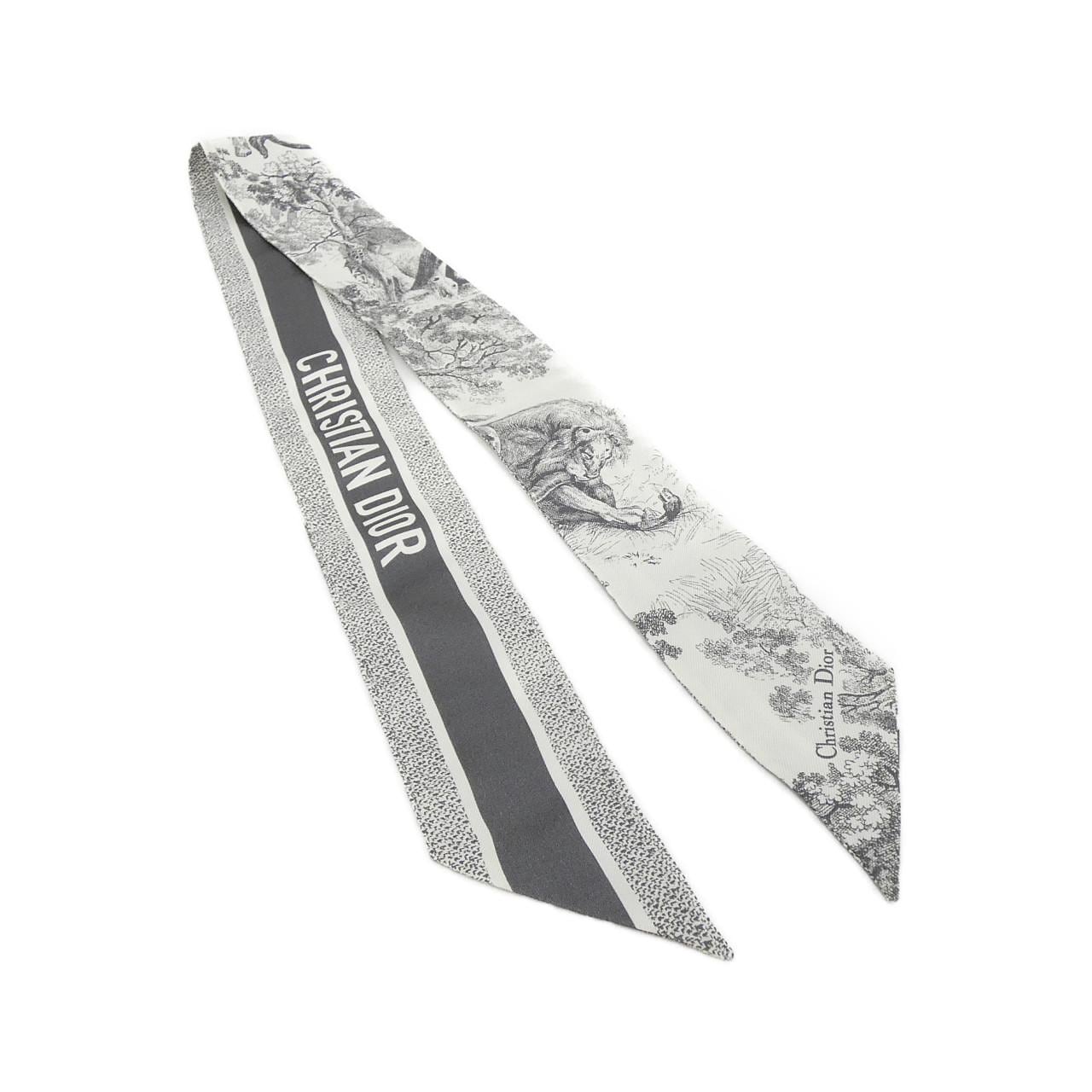 DIOR 15JOU106I602 Scarf